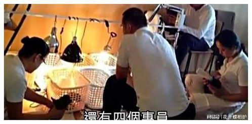 娱乐圈现场吃瓜是真的吗,真相还是谣言？  第3张