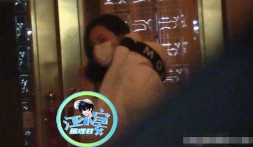 娱乐圈吃瓜汪小菲是谁 第3张 娱乐圈吃瓜汪小菲是谁 第3张