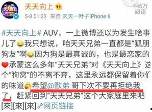 娱乐吃瓜口播文案简短一点,娱乐圈最新瓜料速递  第2张