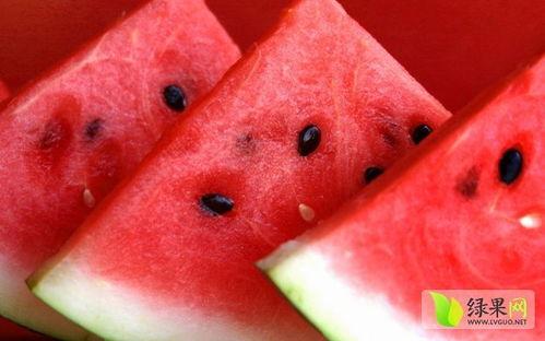 娱乐吃瓜菌医院 第2张 娱乐吃瓜菌医院 第2张