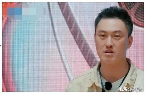 娱乐圈吃瓜爆料第一人是谁,揭秘“瓜王”背后的传奇故事  第3张